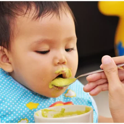 Little Explorers Playhouse