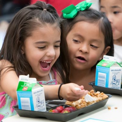 Little Lions Childcare